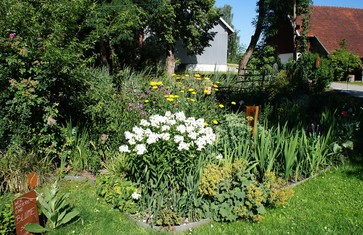Im Naturgarten von Karin Kögl