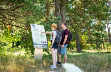 Informationstafel auf dem Heidepfad im Naturschutzgebiet Mallertshofer Holz bei Eching